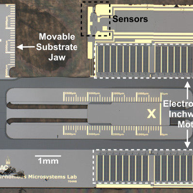 MEMS Microrobot Grippers